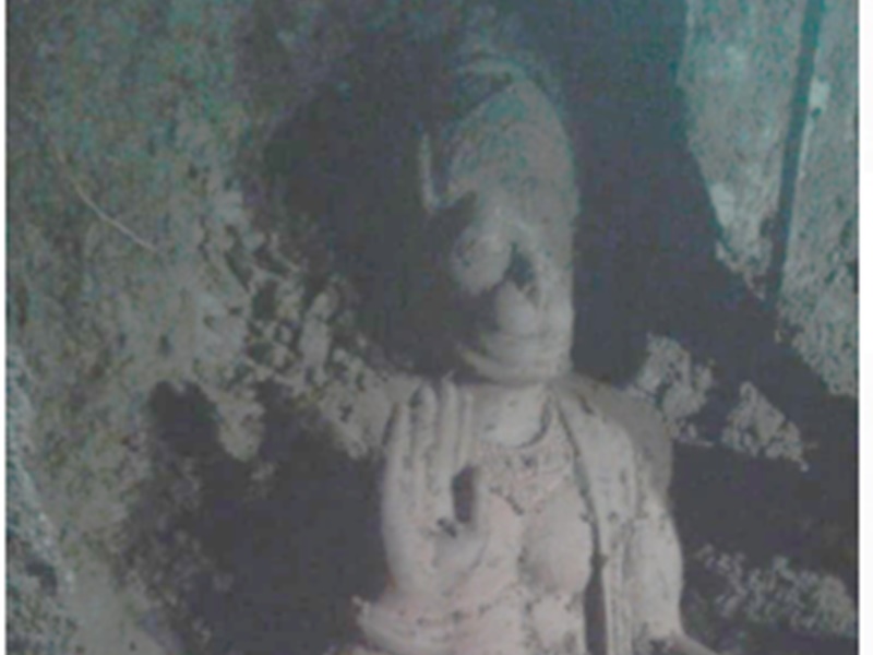 naidunia_image